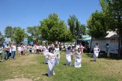 Evrensel Kolej